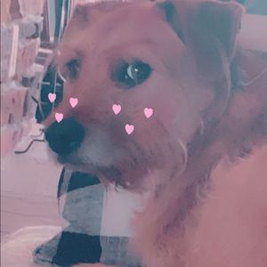 Meet your Posher, Jasmine